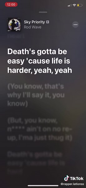 sky priority . #rodwave #rodwavefans #rodwavemusic #fyp #fypシ #foryoupage #rapperlations #raplations #xyzbca #JustDanceMoves #4pf #viral #rodwavelyrics #lyrics #ifeltthat