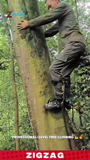 Safe & Simple DIY Tree Climbing Aid for Easy Harvesting