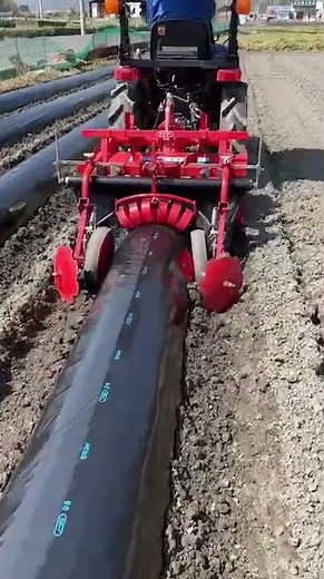 畝立てマルチ張り作業｜ヤンマートラクター畝成形機RCZ910MJ｜農機具ランドあぐり家高松支店 #shorts