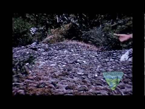 The BLM's Historic Rogue River