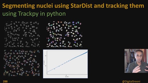 Trackpy教学【第二期】使用 StarDist 进行分割并使用 Trackpy 进行跟踪-DigitalScreeni