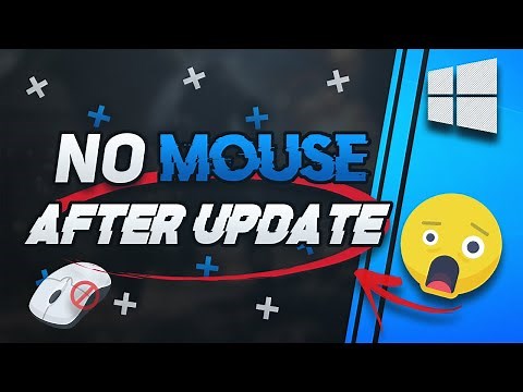 FIX Mouse Not Working After Windows Update on Windows 10 [2025 Tutorial]
