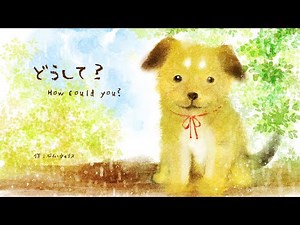 “HOW COULD YOU?” Jim Willis