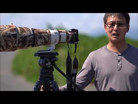 月刊カメラマン2019年11月号「ソニーα7R Ⅳで野鳥を撮る！ 写真家・山田芳文」