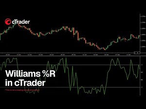 Williams %R in cTrader - how it works and how to use it