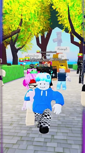 Erwin Gaming: Roblox Fun and Edits