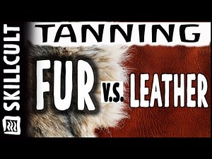 Q&A, Tanning Furs v.s. Leather