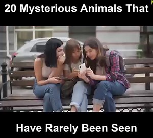 66K views · 2.6K reactions | 20 Mysterious Animals That Have Rarely Been Seen | Daron Morgan ㆈ ・ ピ | Facebook