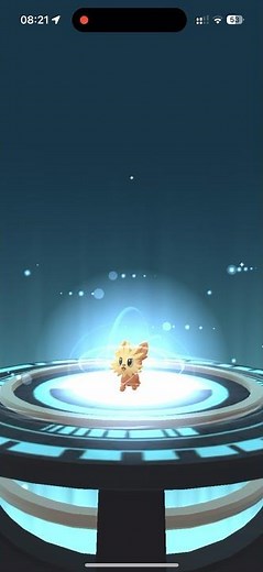 Lillipup evolution #pokemon #pokemongo #evolution