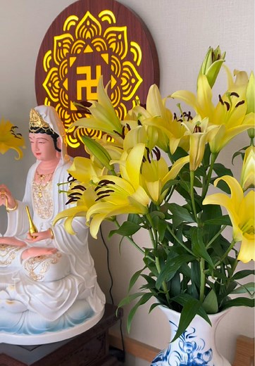 Diệu Liên Nguyễn trên TikTok