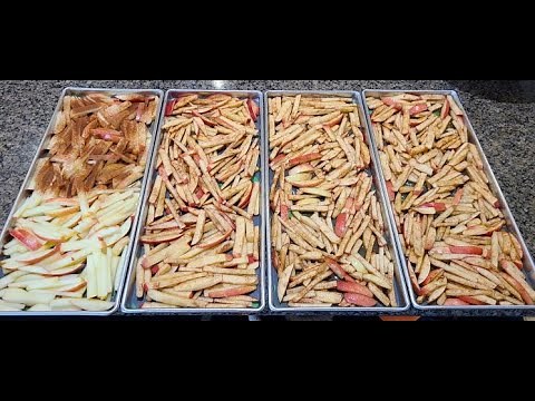 Freeze Dried Apples Part 1