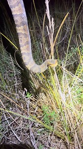 241K views · 26K reactions | 5 months old… time to get tough! With at...