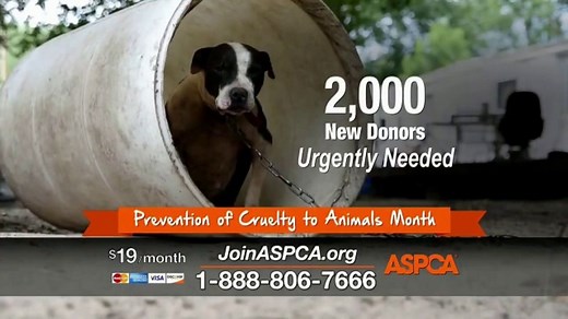 ASPCA TV Spot, 'Would You?'