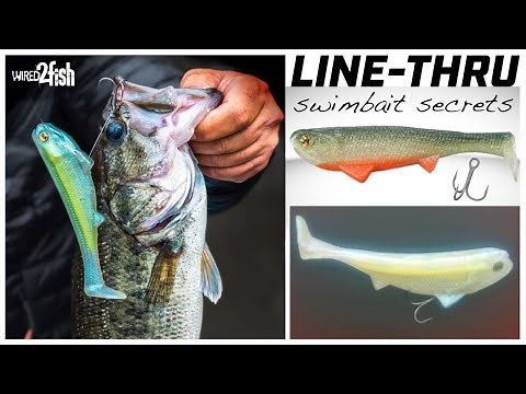 How to Rig and Fish Line-Through Soft Swimbaits