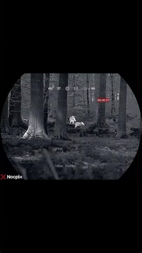 Extra 10% OFF on Hunting Gear – Use THERM10