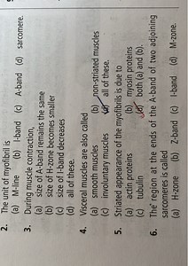 The unit of myofibril is (a) M-line (b) l-band (c) A-band (... | Filo