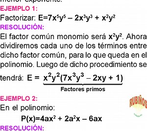 FACTOR COMÚN MONOMIO EJEMPLOS Y EJERCICIOS RESUELTOS DE FACTORIZACIÓN PDF