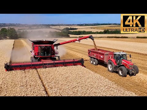 Driving the World's LARGEST Combine Harvester