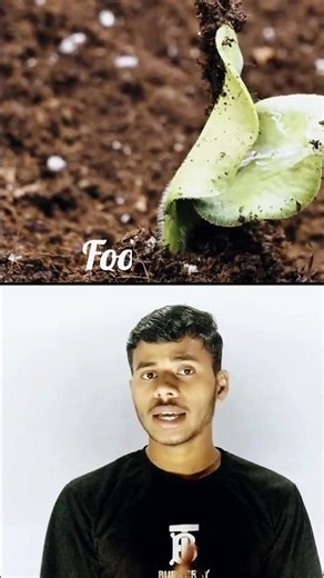 Nitrogen vs Oxygen — Which Gas Actually Saves the Planet? #shorts #quidita