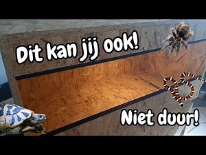 DIY | Zo Bouw je een Terrarium