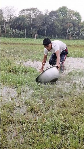 Paper fishing trap in beel #fishing