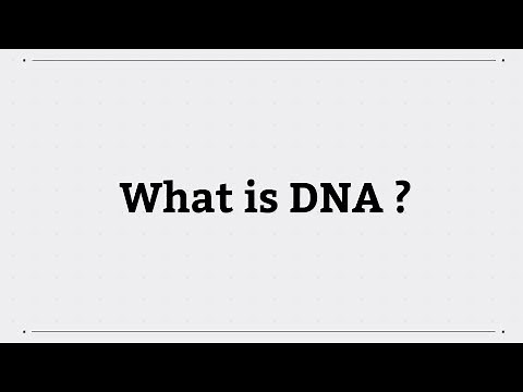 What is DNA?