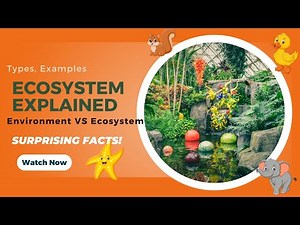 Ecosystem Explained |Types, Components and How It Works with Examples| STEM Science