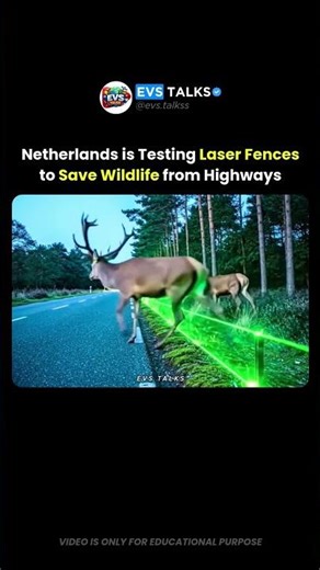 The Netherlands Is Testing LASER Fences to Save Wildlife 😳🦌🚦