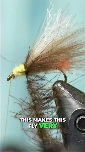 Tie A 'Buggy' Fly That Fish Can't Resist!