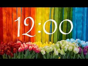 12 Minute Spring Timer