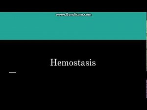 Hemostasis