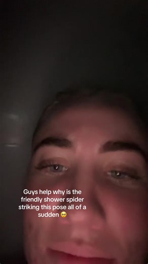 Understanding Bath Time Spiders: Safety Tips and Facts