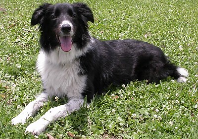 Relative Error: Definition, Formula, Examples