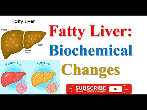 #Fatty #Liver: #Biochemical #Changes | MSc MLT | #Clinical #Biochemistry #Lecture | #Medical #Micro
