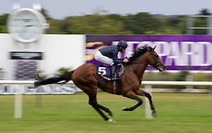 Horse Racing tips: A Lucky 15 to set the scene for Leopardstown Thursday