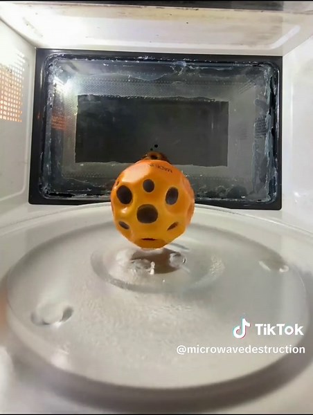 Microwave Destruction on TikTok