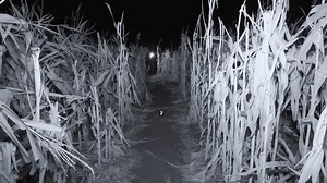 512K views · 11K reactions | TRAPPED by The BLACK EYED DEMON - The Devil's Maze | Twin Paranormal Fan | Facebook