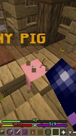 When the shiny pig gets stuck in jail... #hypixelskyblock #aura #hypixel