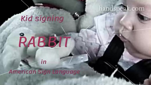 RABBIT • ASL Dictionary