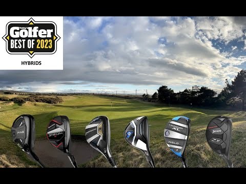 Best Hybrids 2023