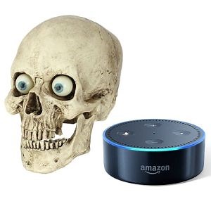 Talking Skull Alexa Kit