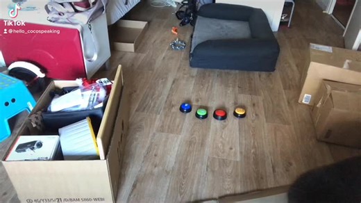 hello_cocospeaking sur TikTok