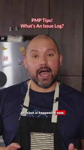 What's an Issue Log?