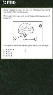 CNS Damage Question Explained #shorts #viralshorts #shortsfeed