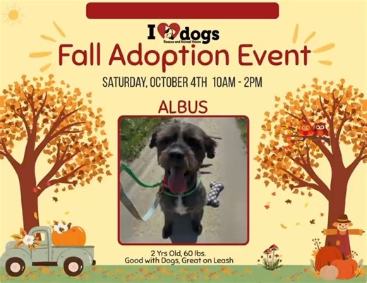 2.7K views · 37 reactions |  FALL ADOPTION EVENT  ❣️Please...