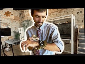 Bringing Clint's Reptiles his first Super Dwarf Retic