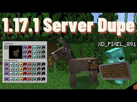 How to Duplicate Items in Minecraft 1.17.1 Multiplayer Servers