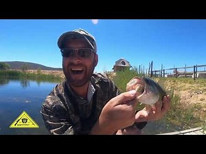 Bass Fishing [Catch Clean Cook] South Africa