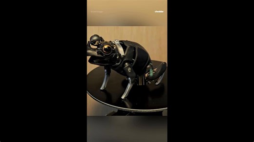 3D-printed animatronic frog comes to life
