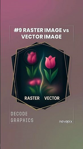 #9 Raster Image vs. Vector Image